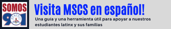 MSCS in Spanish
